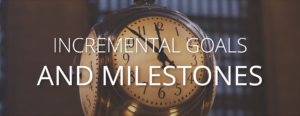 INCREMENTAL GOALS AND MILESTONES